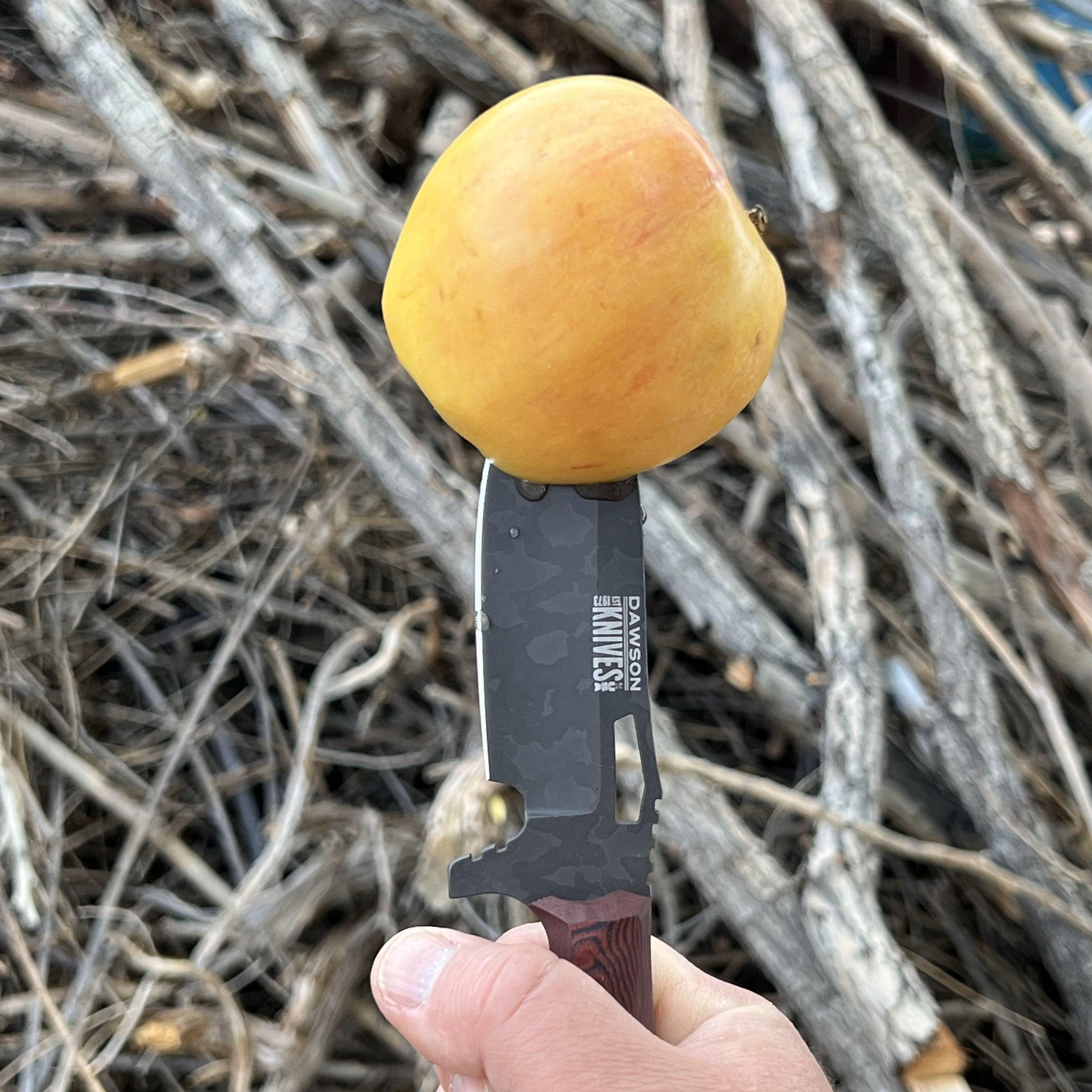 Nomad | Hunting, Camp and Outdoors Knife | Apocalypse Black Finish