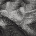 Cnt/Hrv/Rvl BUNDLE ONLY