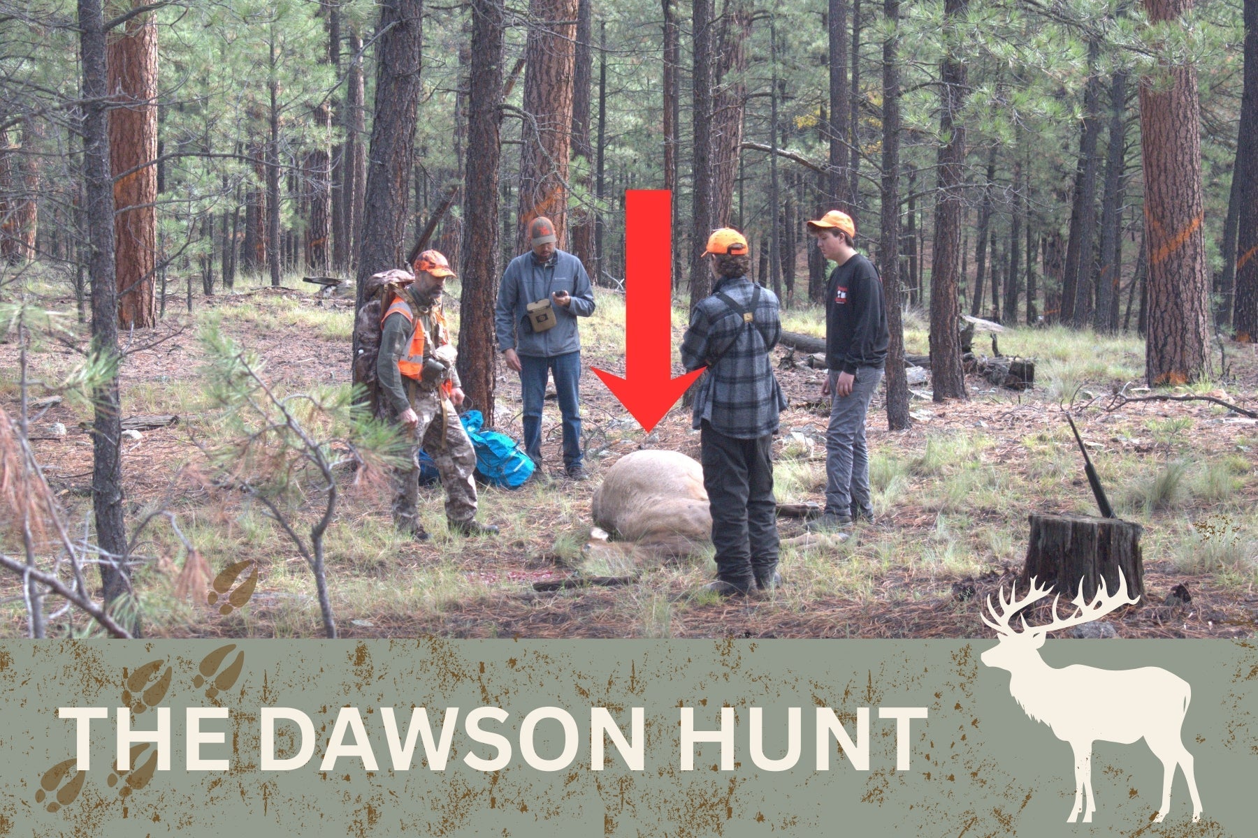 The Dawson Hunt