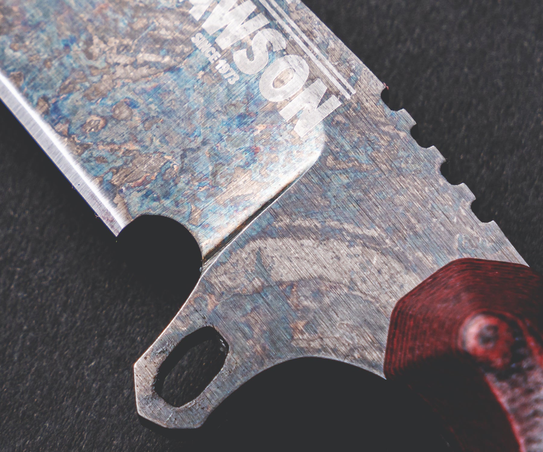 NEW: Companion EDC | ProCut Steel