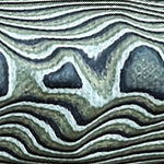 savanna-g10.jpg